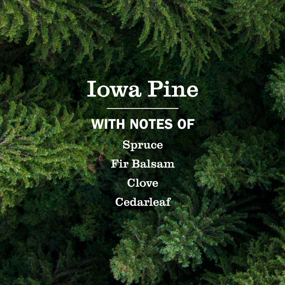 Iowa Pine Plug In Scented Oil Refill 2-Pack