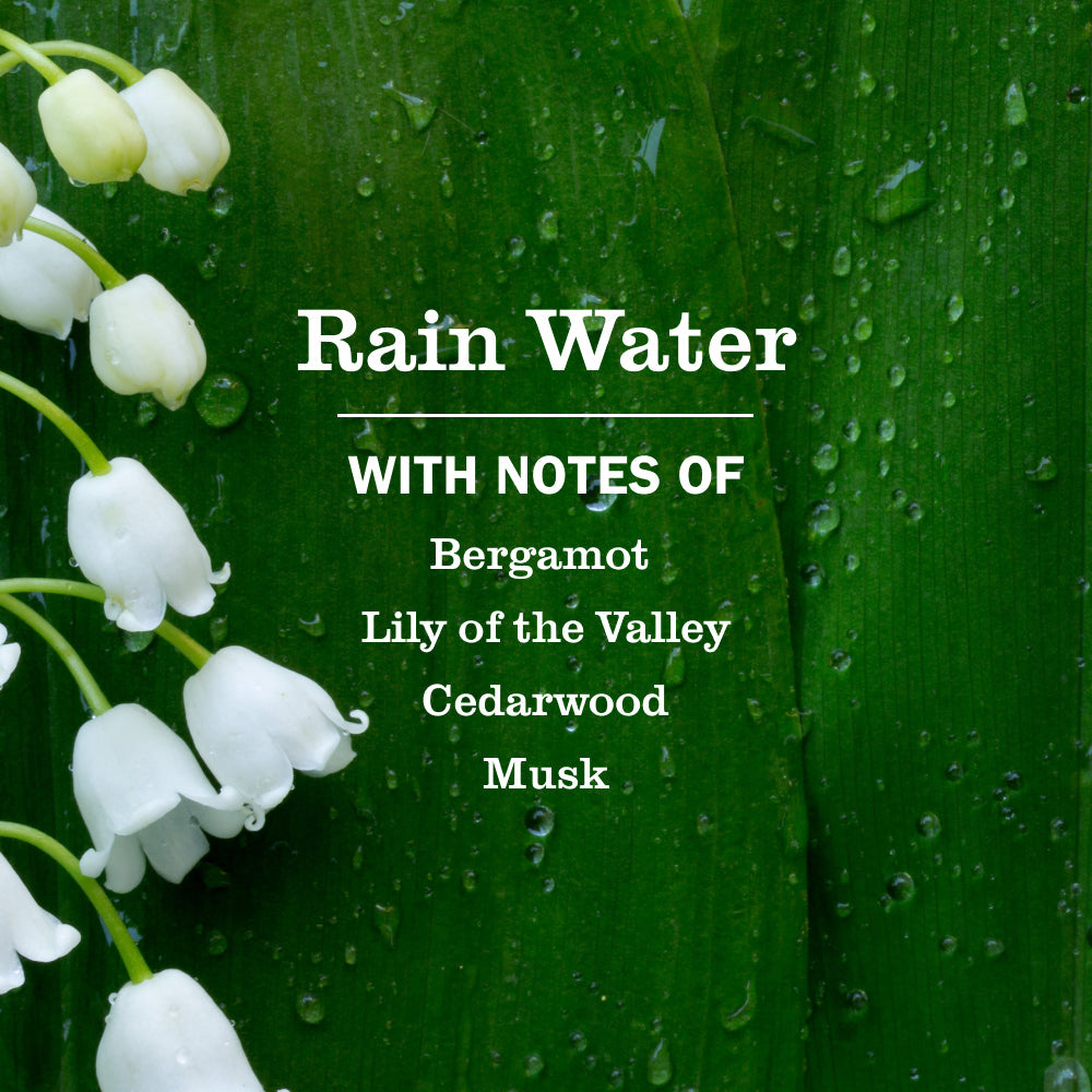 Rain Water Plug In Scented Oil Refill 2-Pack