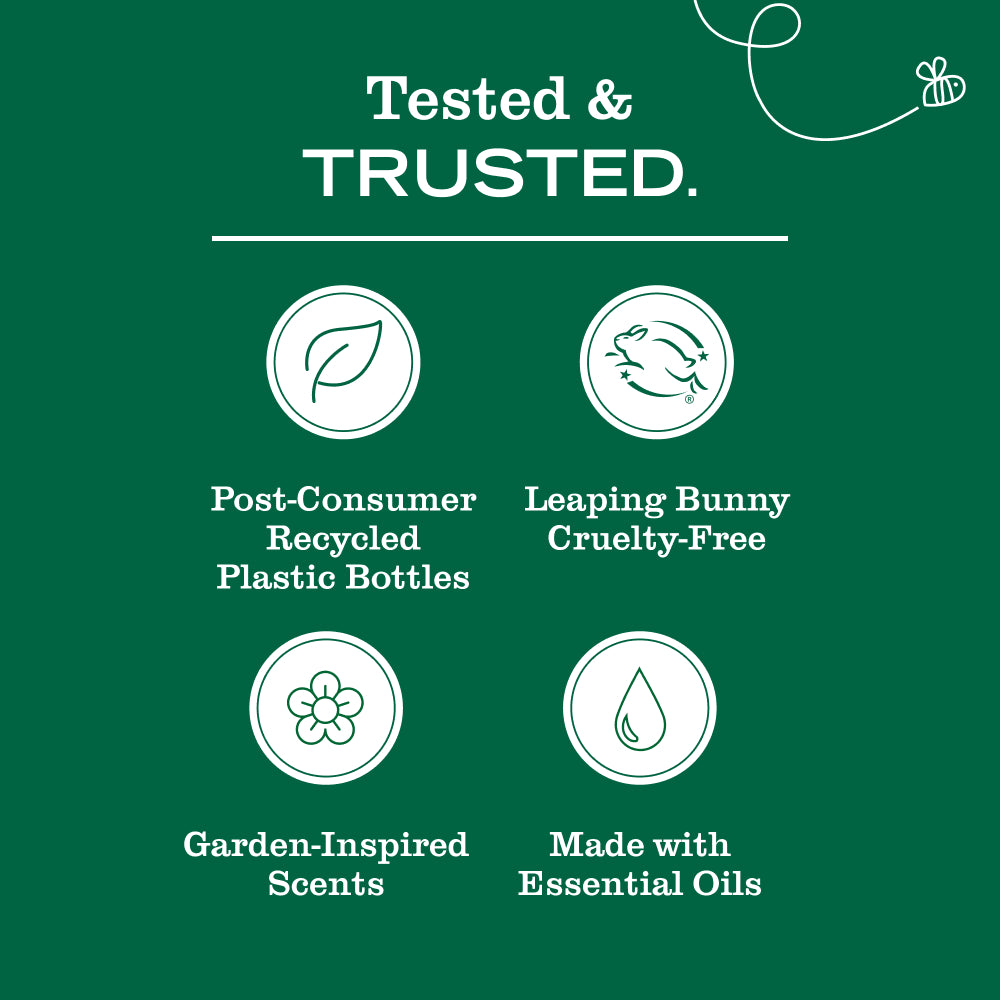 Dewdrop Kitchen Basics Set