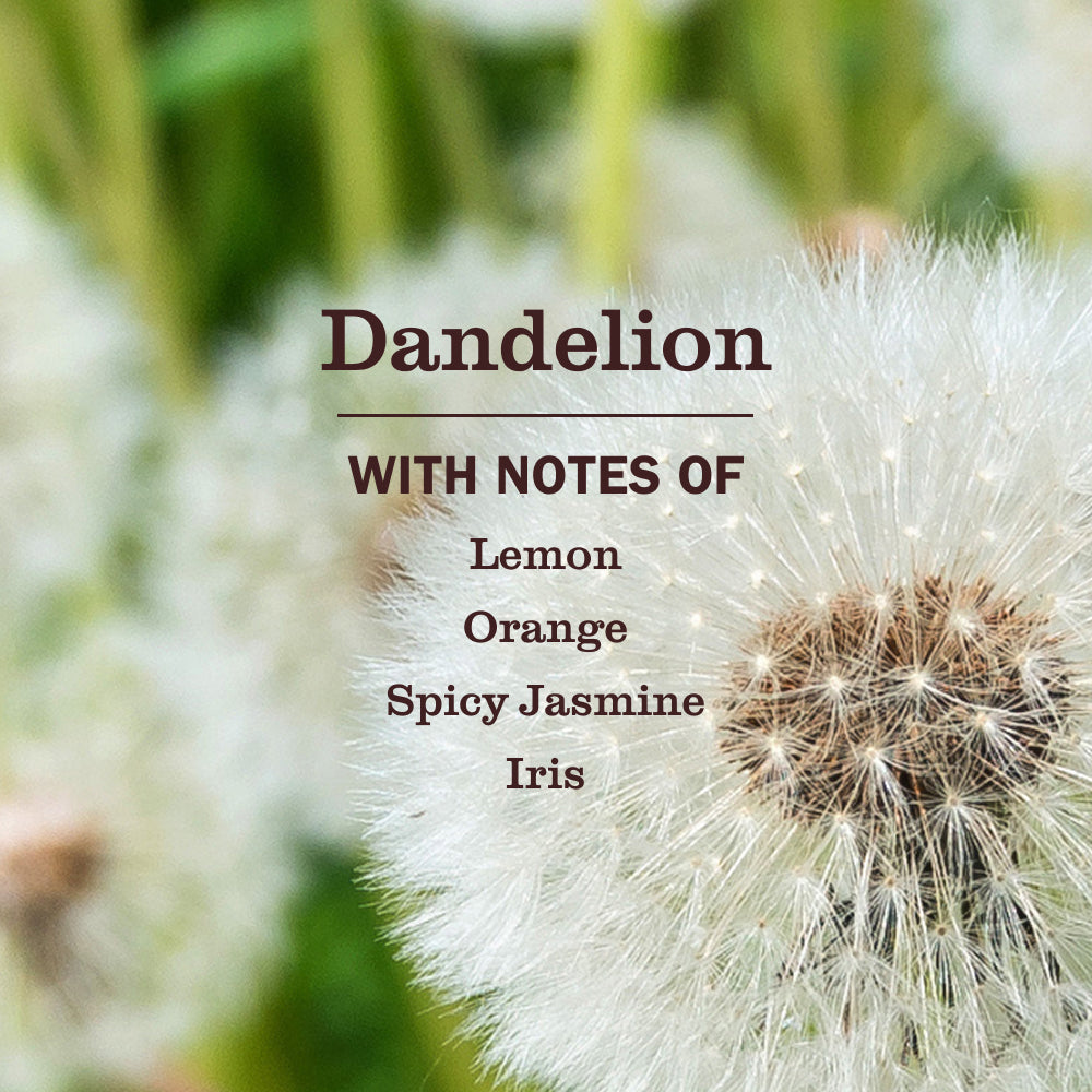 Mrs. Meyer's Dandelion Liquid Hand Soap