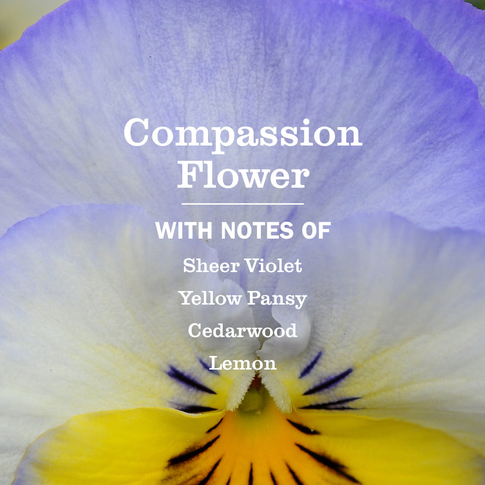 Mrs. Meyer's Compassion Flower Dish Soap Refill