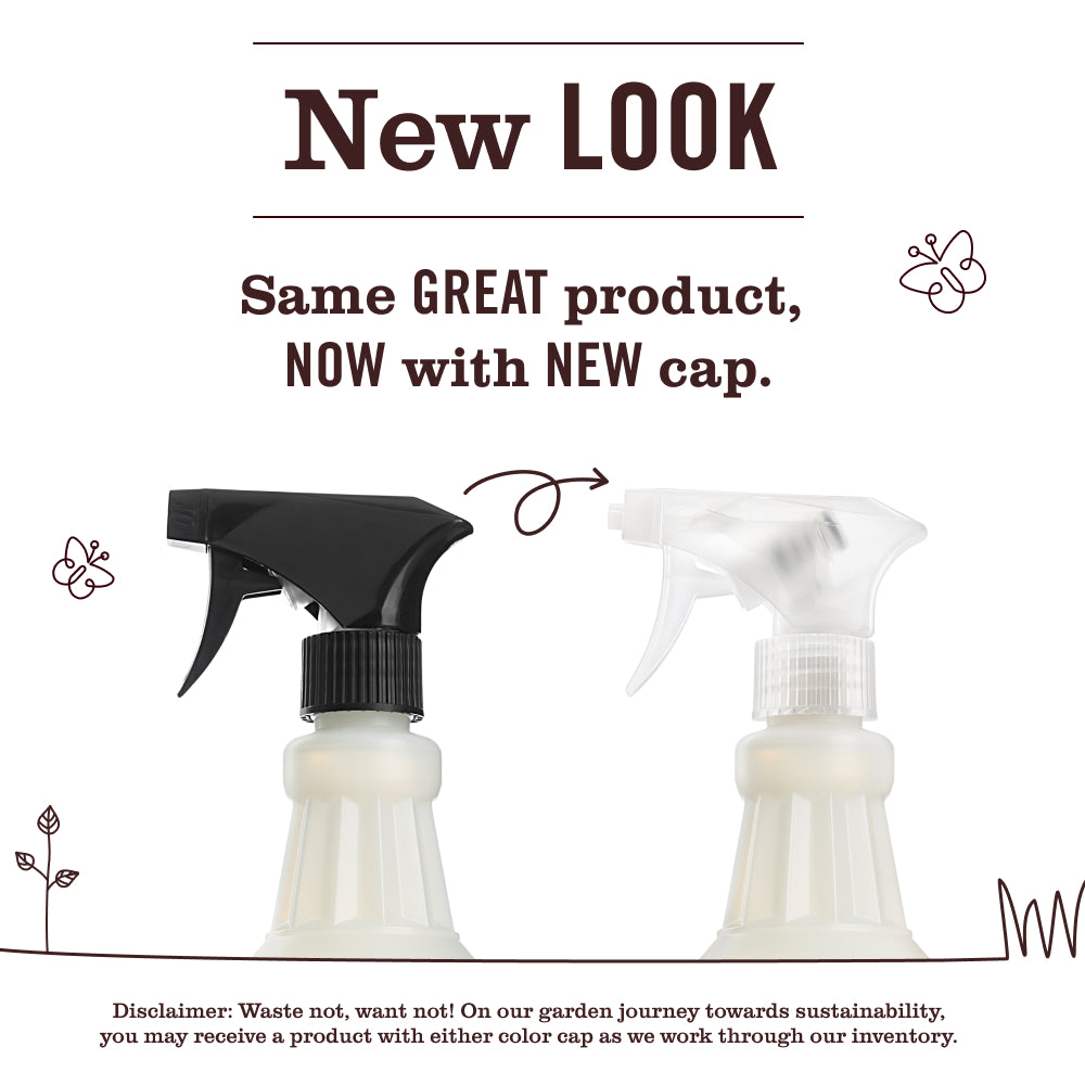 Eucalyptus Multi-Surface Everyday Cleaner | Mrs. Meyer's