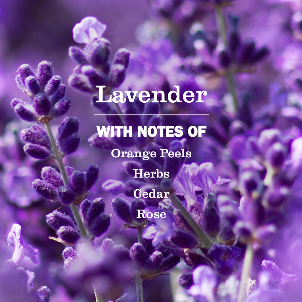 Lavender Liquid Hand Soap Refill | Mrs. Meyer's
