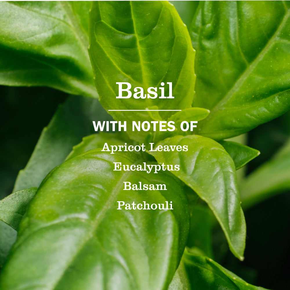 Mrs. Meyer's Basil Room Freshener