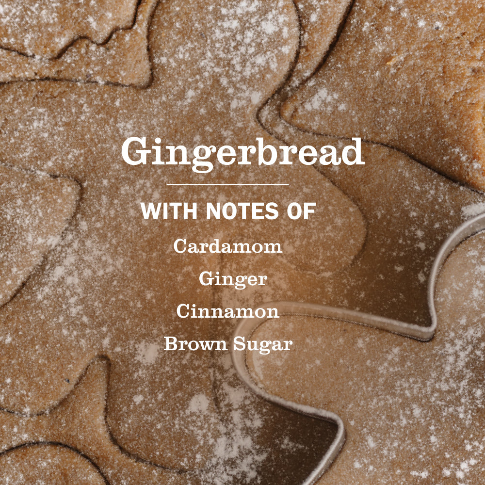 Mrs. Meyer's Gingerbread Dish Soap
