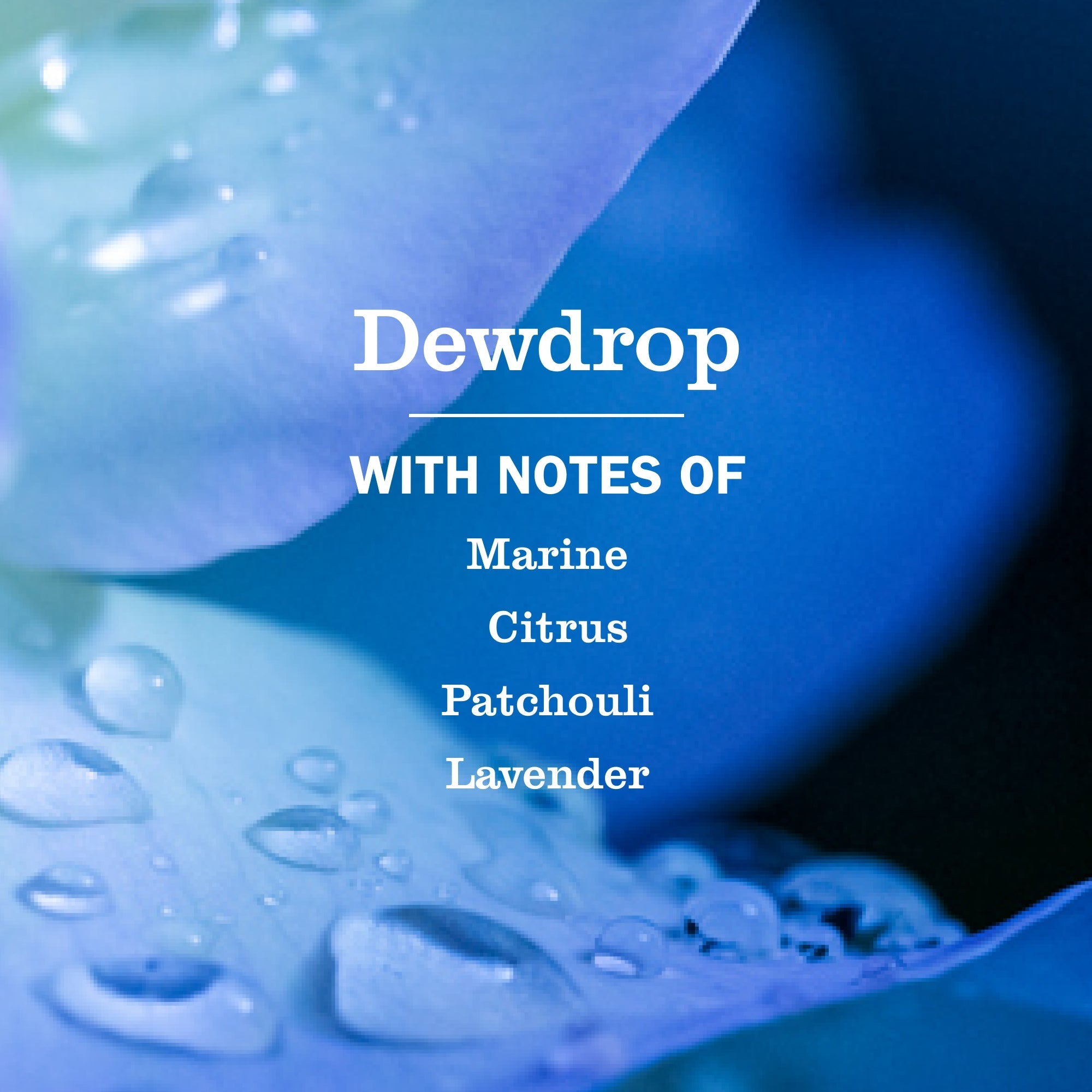 Dewdrop Dish Soap