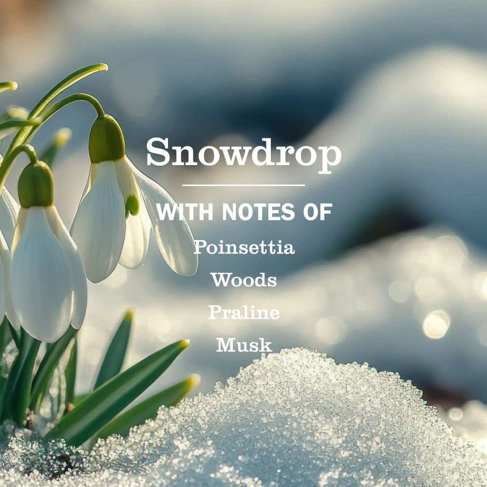 Mrs. Meyer's Snowdrop Room Freshener
